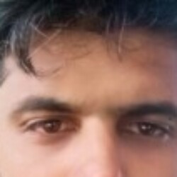 Profile photo of madura