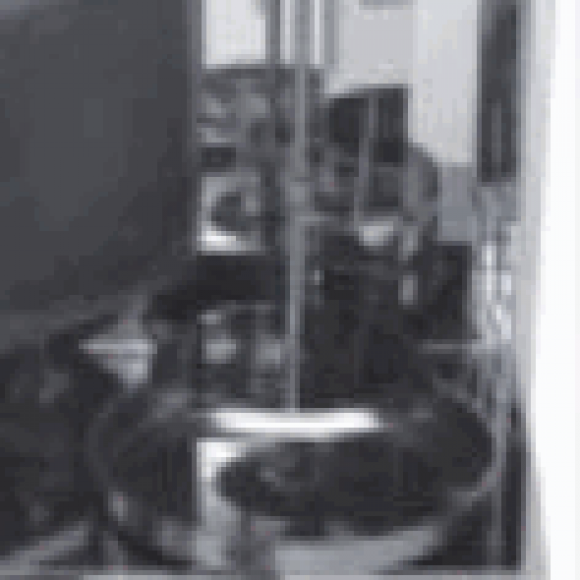 Profile photo of kamal srilanka