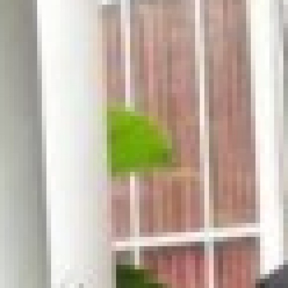 Profile picture of chathura