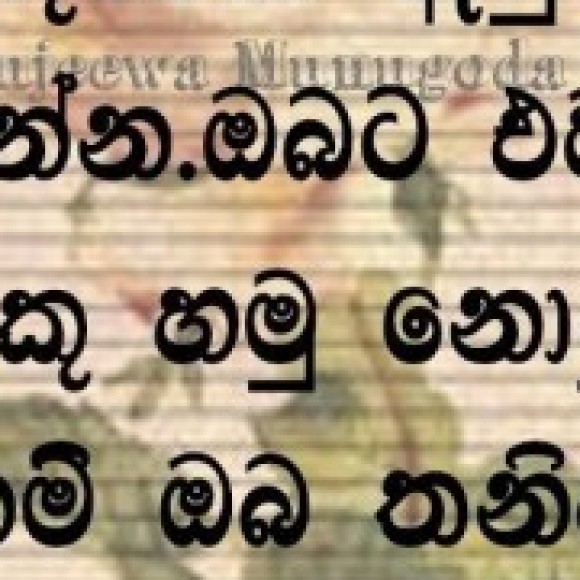 Profile photo of shaan