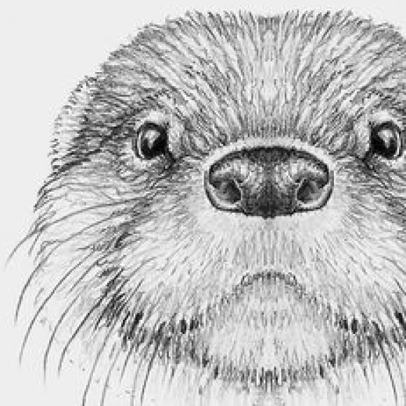 Profile picture of Frizco