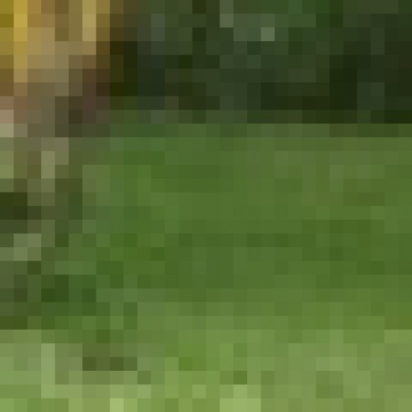 Profile photo of williams