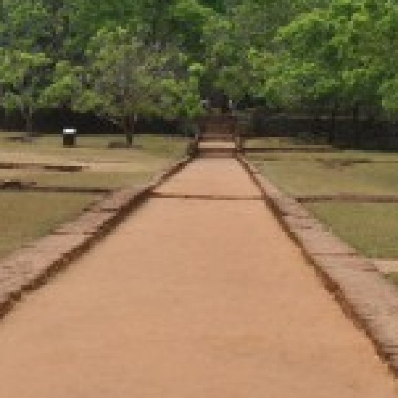 Profile photo of Dulsika