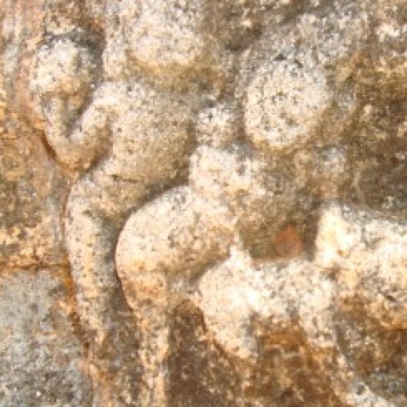 Profile picture of Shan Rajapaksha