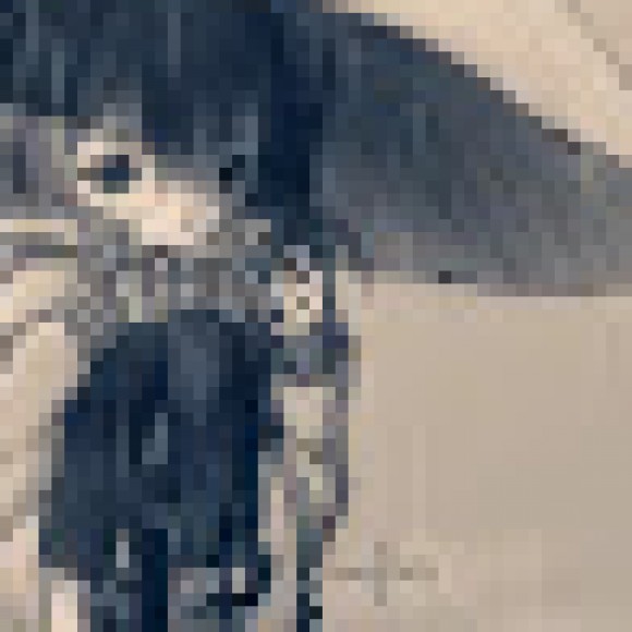 Profile photo of snowybunny