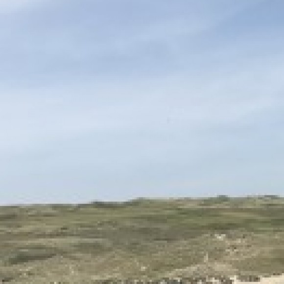 Profile picture of Rohitha