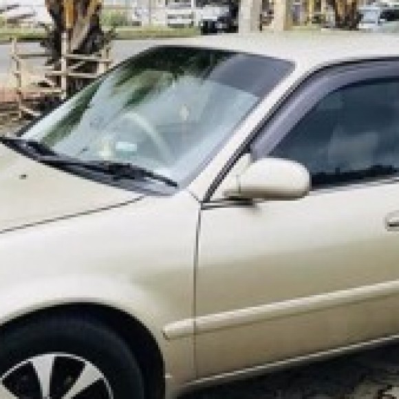 Profile photo of sanka shawendra