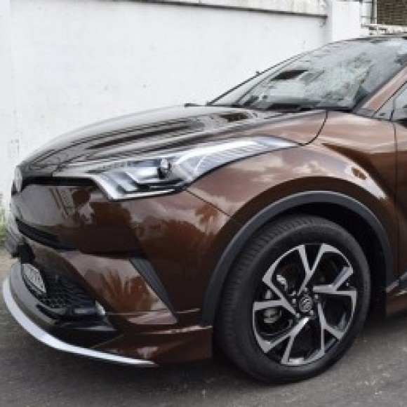 Profile picture of Shaman Rex