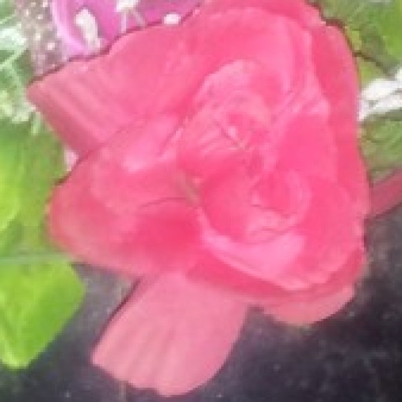 Profile picture of saman122