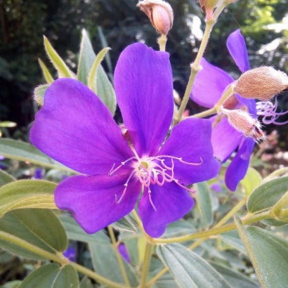 Profile photo of Denuwan wickramasinghe