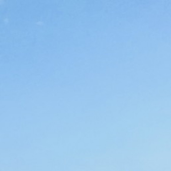 Profile picture of Dilum