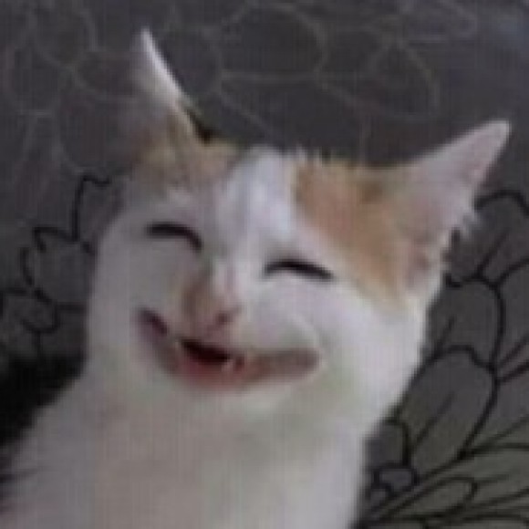 Profile picture of Jananarandika