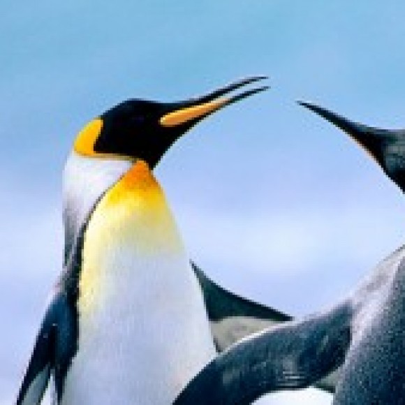 Profile picture of payne