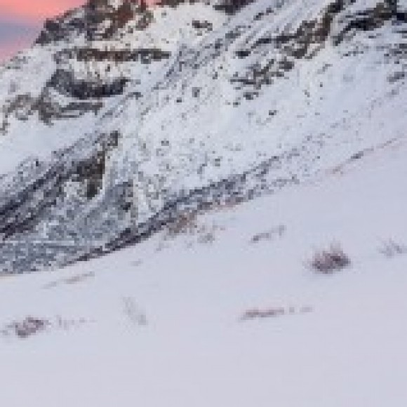 Profile picture of Aslamcutiee