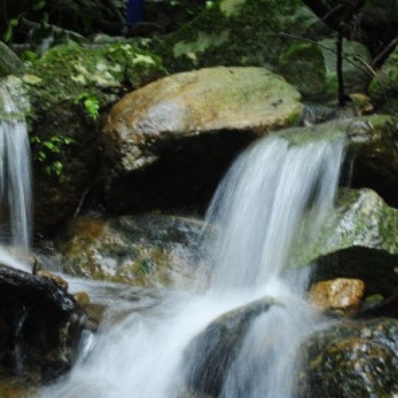 Profile picture of Athula Bandara