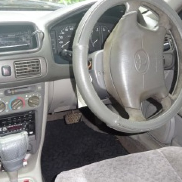 Profile picture of saman