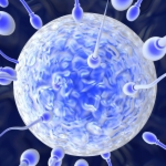 Profile picture of Naveen kanishka