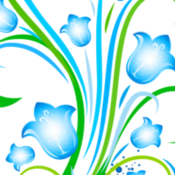 Profile picture of Mohammed