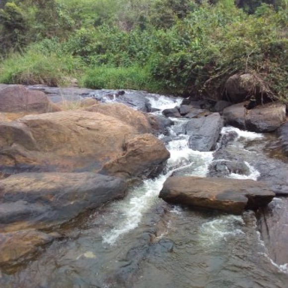 Profile photo of chamindu