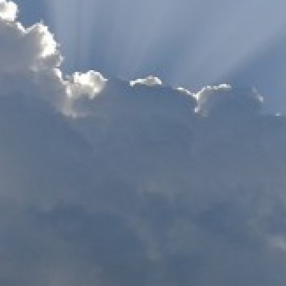 Profile photo of chamika