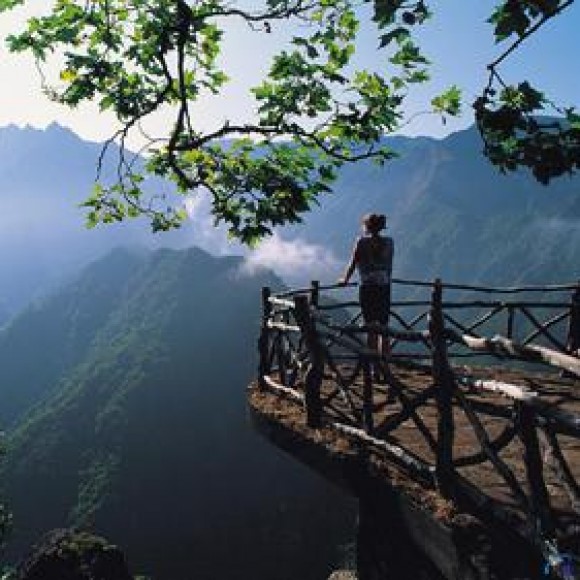 Profile picture of Ban 88