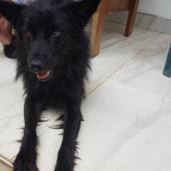 Profile photo of Thimira