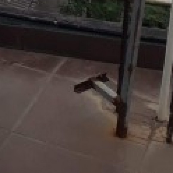 Profile picture of Chathura sandaruwan madusanka