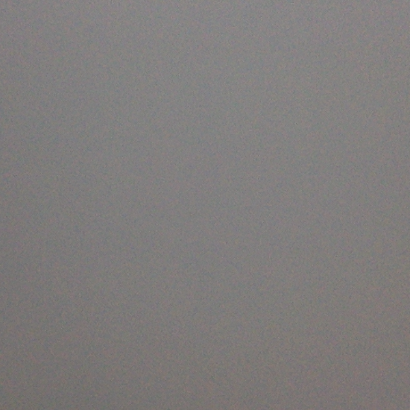 Profile picture of prince