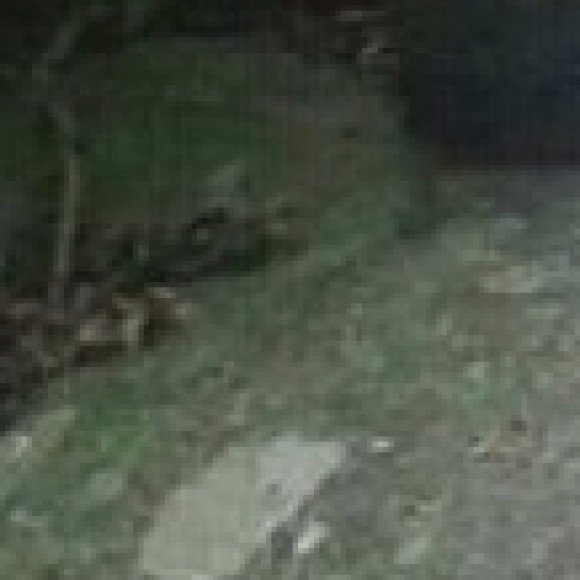 Profile picture of Asitha