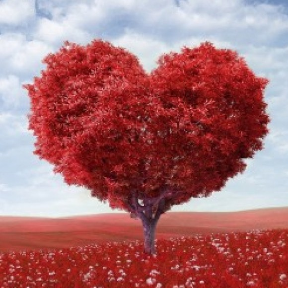 Profile picture of Jake Harrington