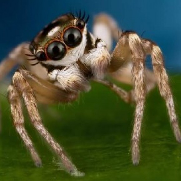 Profile picture of Namal Perera