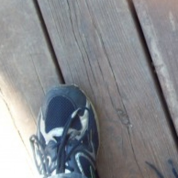 Profile picture of Dhammika Perera