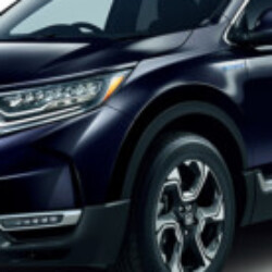 Profile picture of kasun ajith