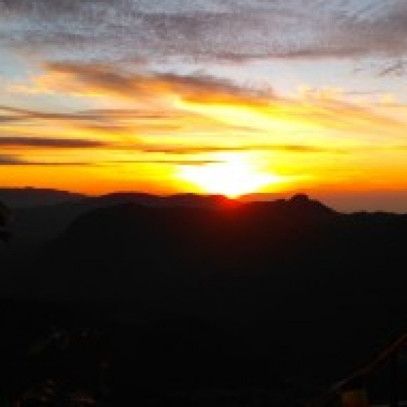 Profile picture of hasiya