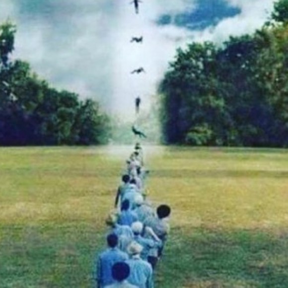 Profile picture of Killer Whale