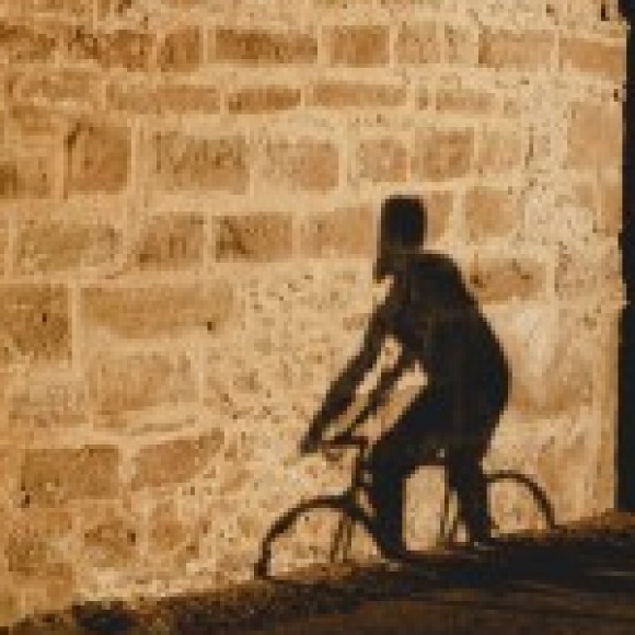 Profile picture of Dhammika Perera