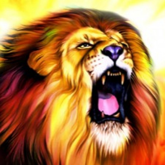 Profile photo of Supun Vimukthi