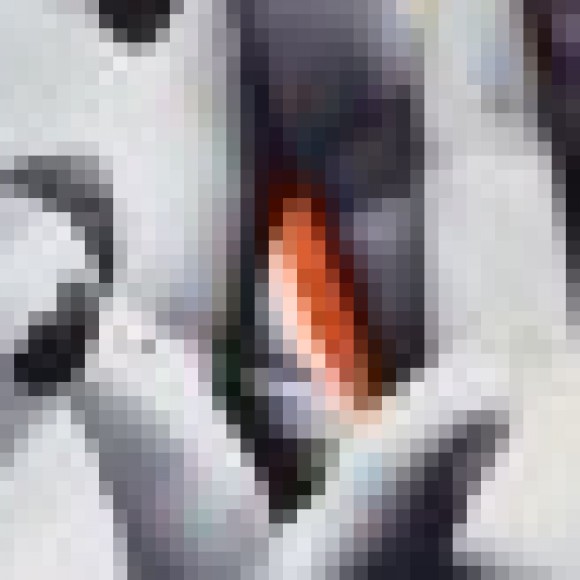 Profile picture of krish