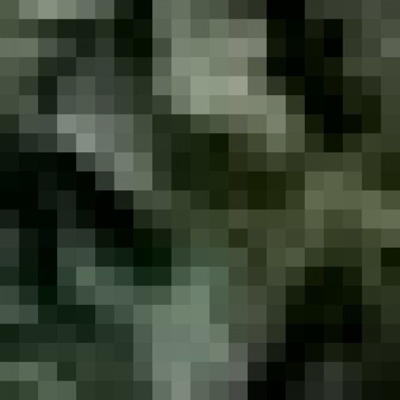 Profile photo of Ruwan Kumara