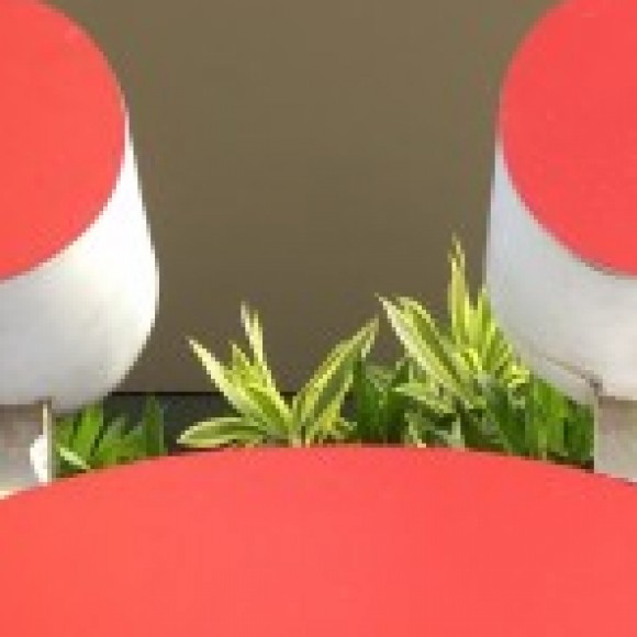 Profile picture of Adam Bhoyi