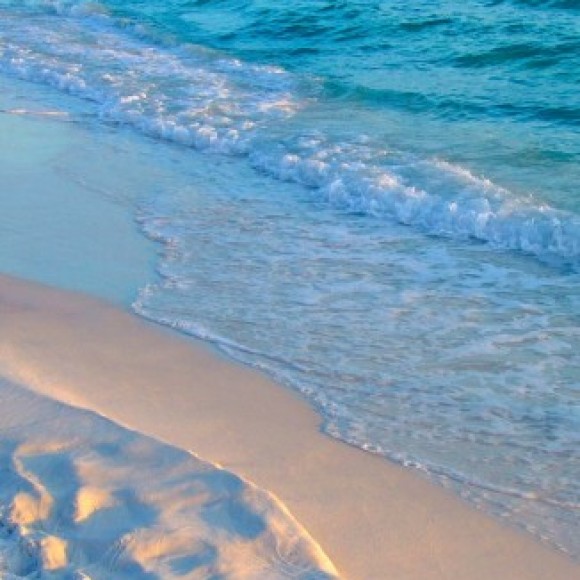 Profile photo of Prasanna22