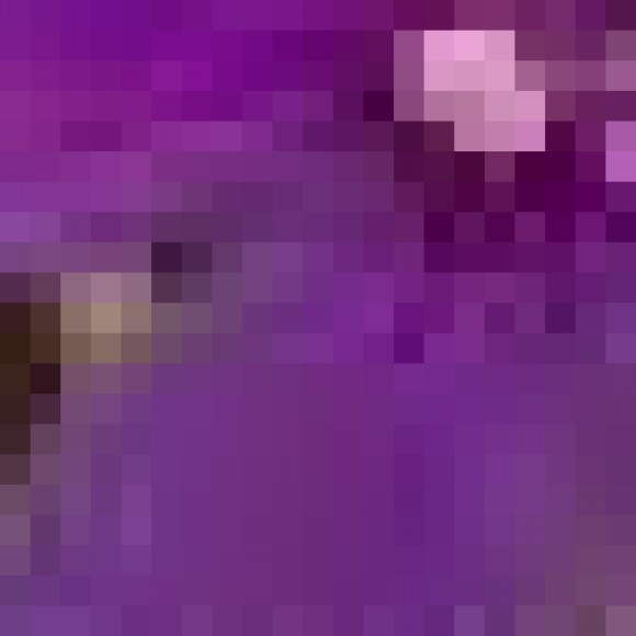 Profile photo of Darnell Bella