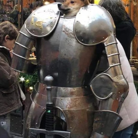 Profile photo of Steve