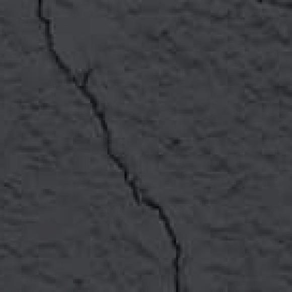 Profile picture of sadun loku