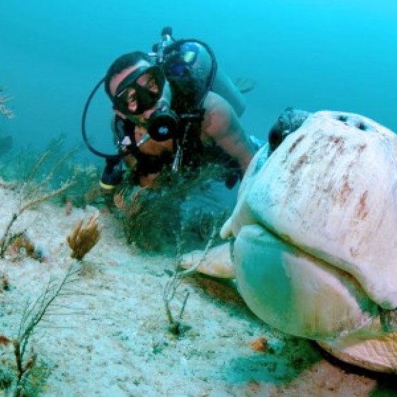 Profile picture of Chathu for Girls