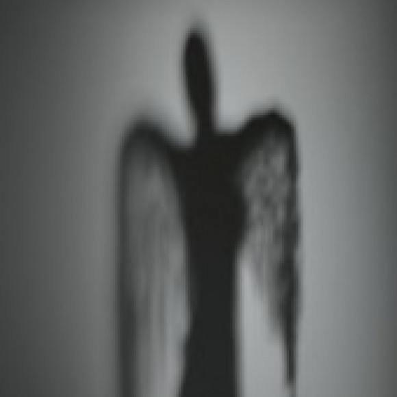 Profile picture of Prithuvi Gamage