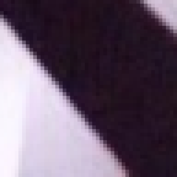 Profile picture of Radeesh