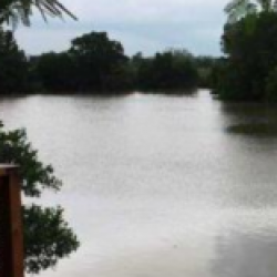 Profile photo of Chamara