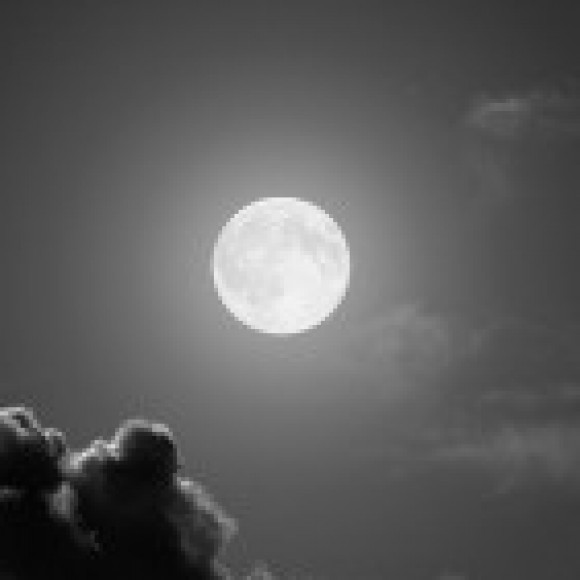 Profile photo of chanuka perera