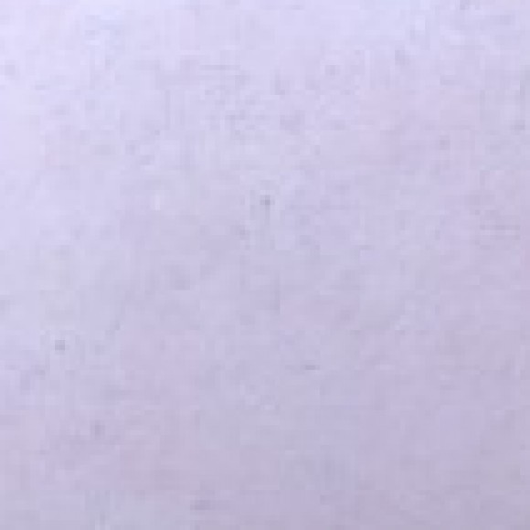 Profile photo of Shehan Madusanka